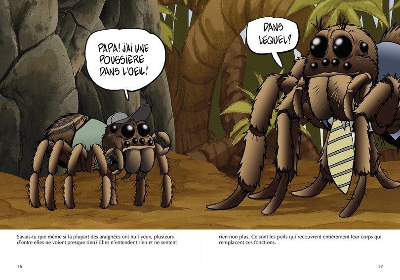 Aper&ccedil;u du contenu_Les araign&eacute;es