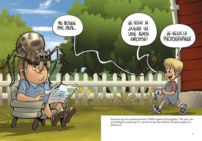 Aper&ccedil;u du contenu 2_Les araign&eacute;es