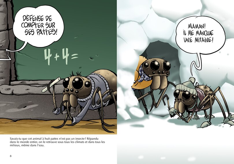 Aper&ccedil;u du contenu 3_Les araign&eacute;es