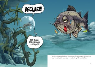 Aper&ccedil;u du contenu 4_Les araign&eacute;es