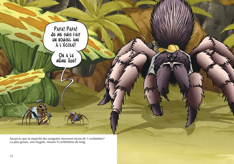 Aper&ccedil;u du contenu 5_Les araign&eacute;es