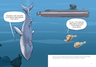 Sample content_Les baleines bleues