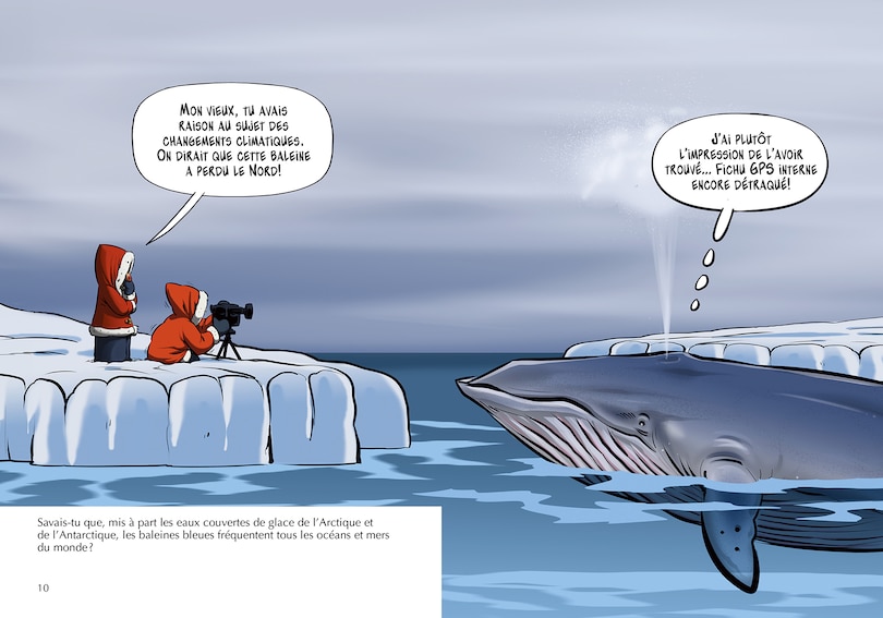 Sample content 4_Les baleines bleues