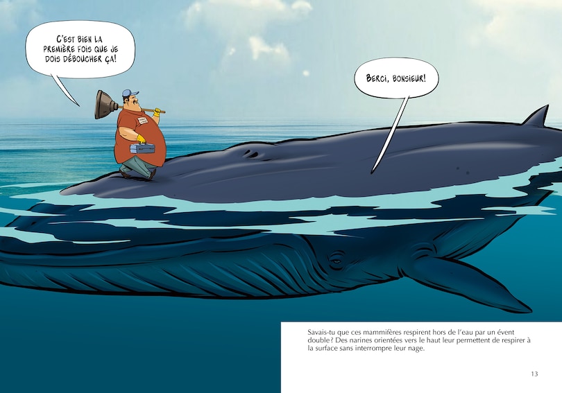 Sample content 5_Les baleines bleues