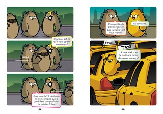 Sample content 2_Les bleues de New York