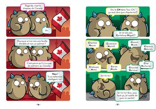 Sample content 3_Les bleues de Toronto