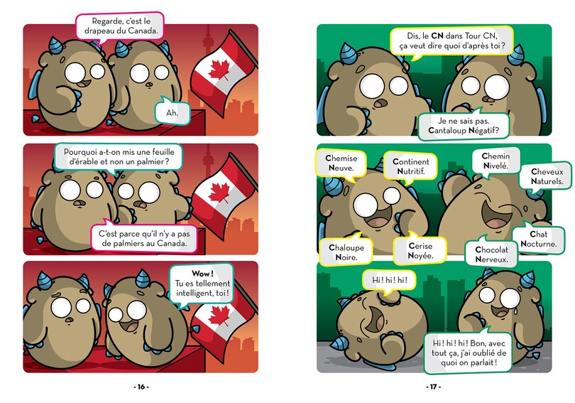 Sample content 3_Les bleues de Toronto