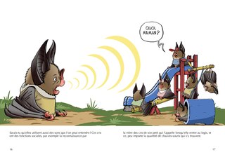 Sample content_Les chauves-souris