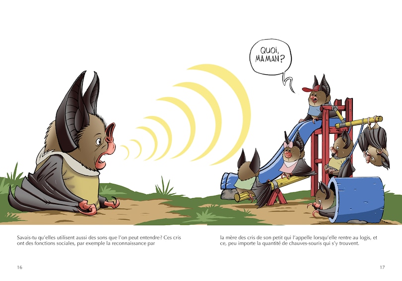 Sample content_Les chauves-souris