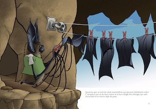 Sample content 3_Les chauves-souris
