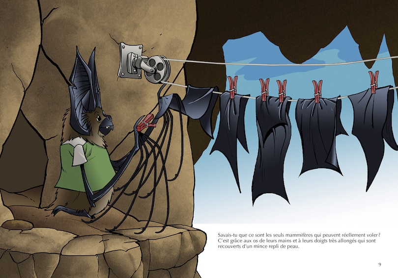 Sample content 3_Les chauves-souris