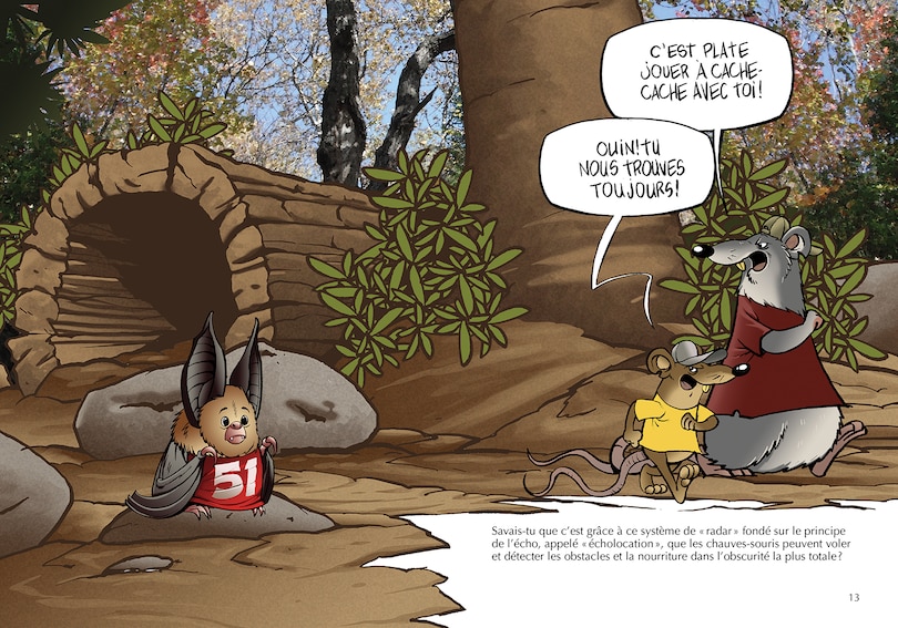 Sample content 5_Les chauves-souris