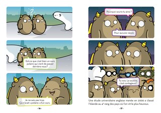 Sample content 3_Les jaunes de Reykjavik