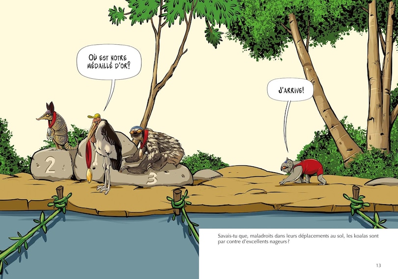 Sample content_Les Koalas