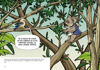 Sample content 2_Les Koalas