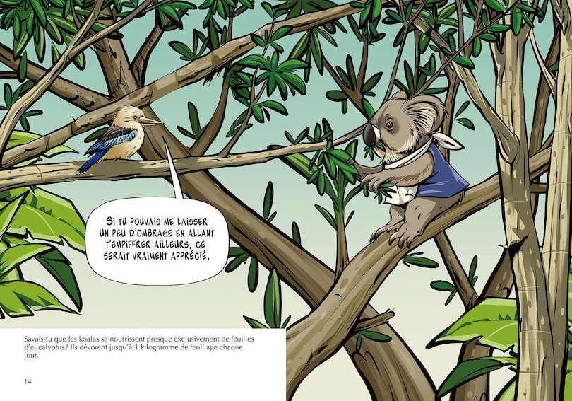 Sample content 2_Les Koalas