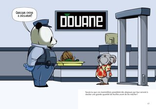 Sample content 3_Les Koalas