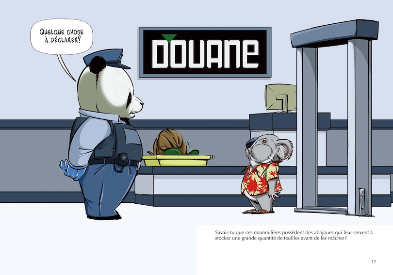 Sample content 3_Les Koalas