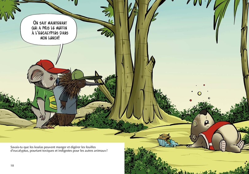 Sample content 4_Les Koalas