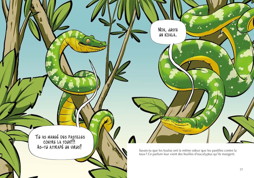 Sample content 5_Les Koalas