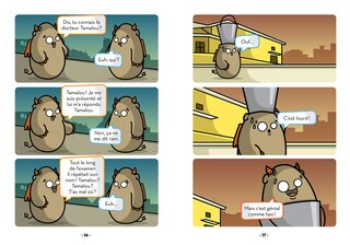 Sample content 5_Les orang&eacute;es de Dakar