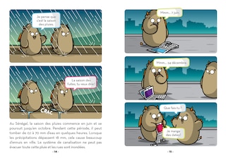 Sample content 4_Les orangées de Dakar