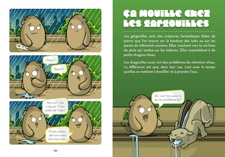 Sample content 3_Les origines