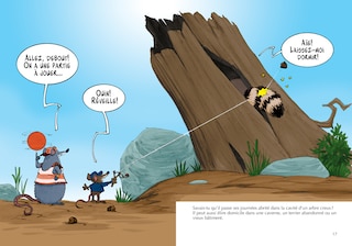 Sample content_Les ratons laveurs