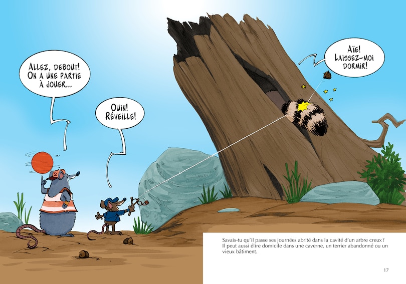 Sample content_Les ratons laveurs