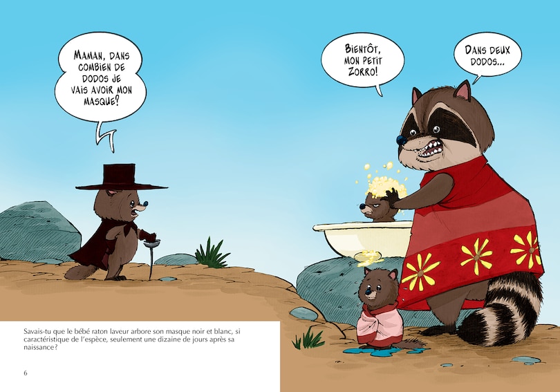 Sample content 2_Les ratons laveurs