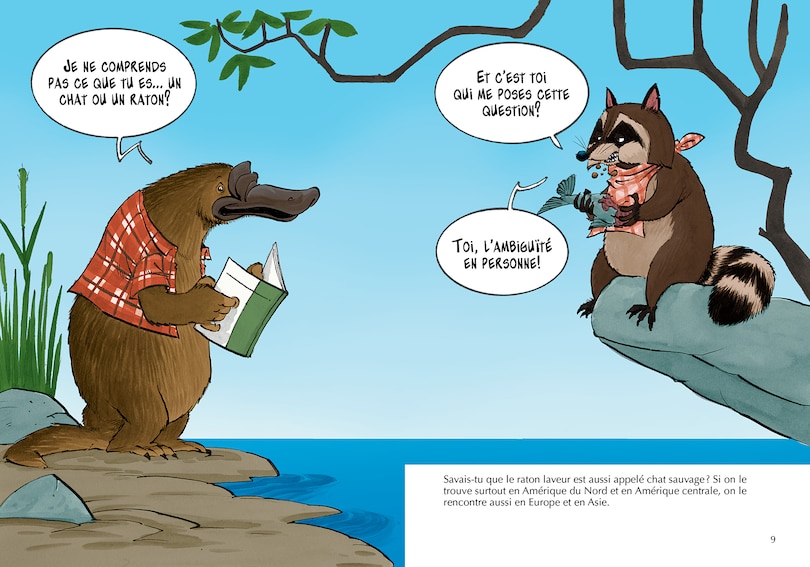 Sample content 3_Les ratons laveurs