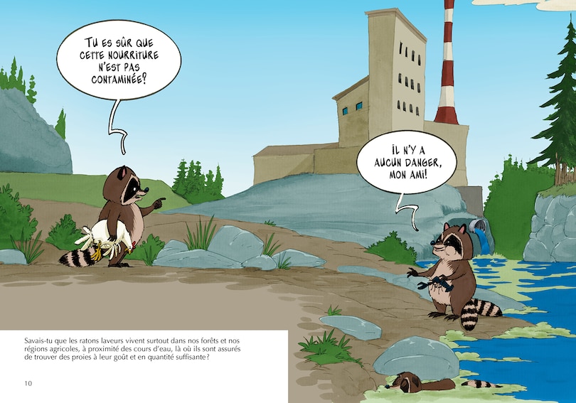 Sample content 4_Les ratons laveurs