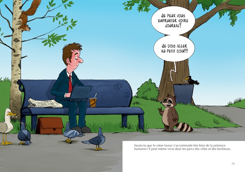 Sample content 5_Les ratons laveurs