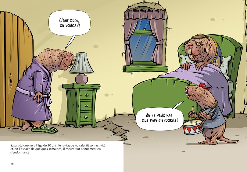 Aper&ccedil;u du contenu 3_Les rats-taupes