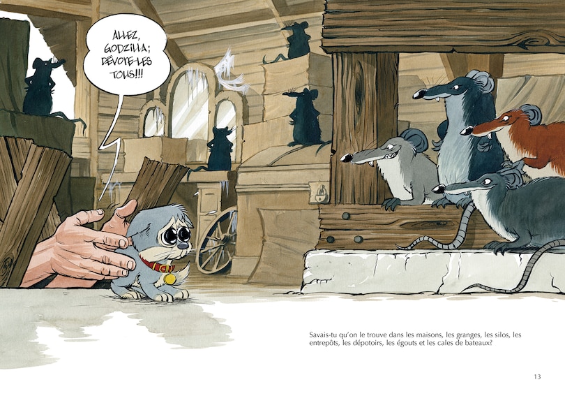 Sample content_Les rats