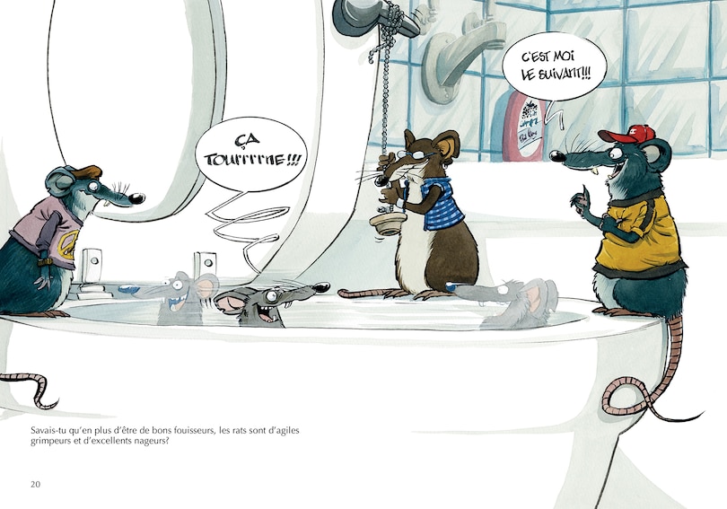 Sample content 5_Les rats