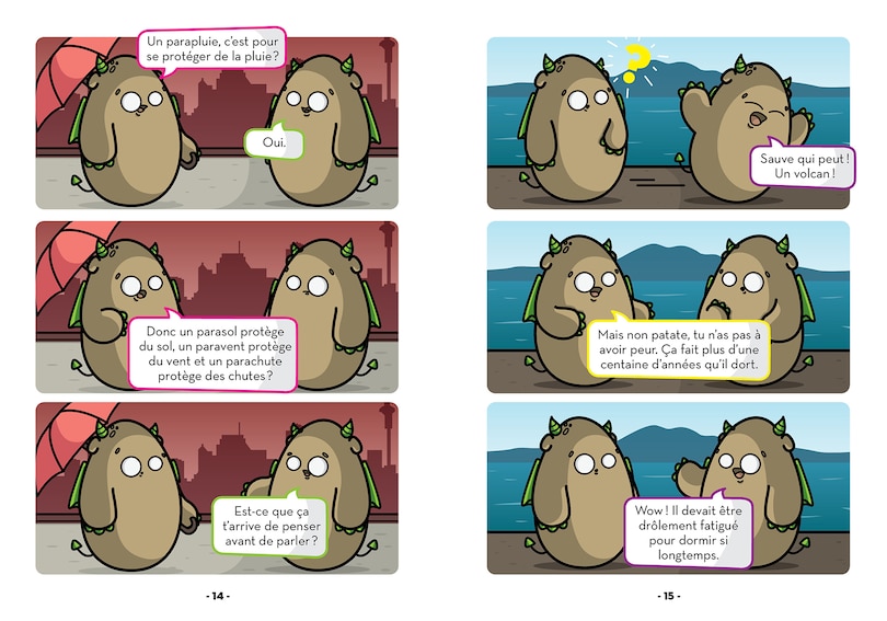 Aper&ccedil;u du contenu 2_Les vertes d'Auckland