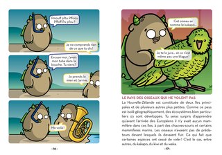 Aper&ccedil;u du contenu 3_Les vertes d'Auckland