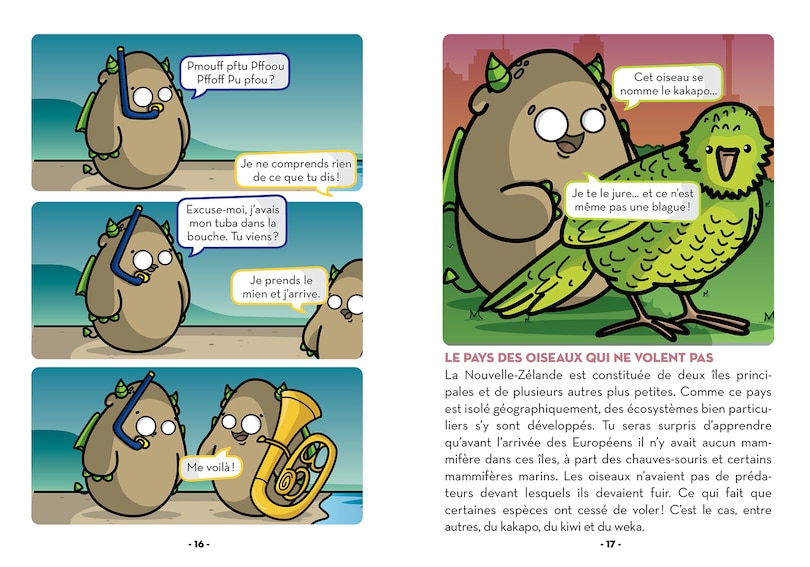 Aper&ccedil;u du contenu 3_Les vertes d'Auckland