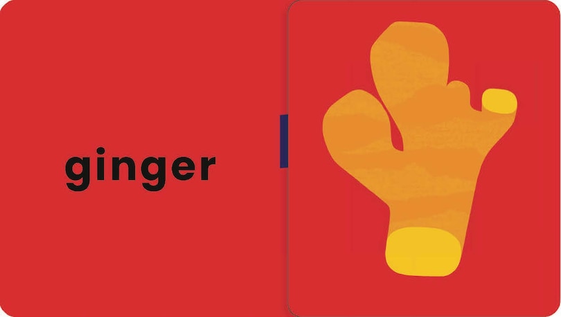 Sample content 4_Let's Make Ice Pops