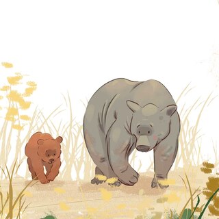 Aper&ccedil;u du contenu 3_Life and Times of Fuzzy Wuzzy