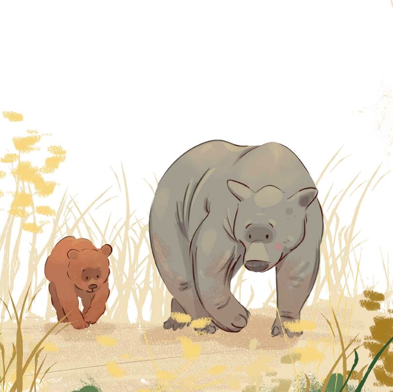 Aper&ccedil;u du contenu 3_Life and Times of Fuzzy Wuzzy