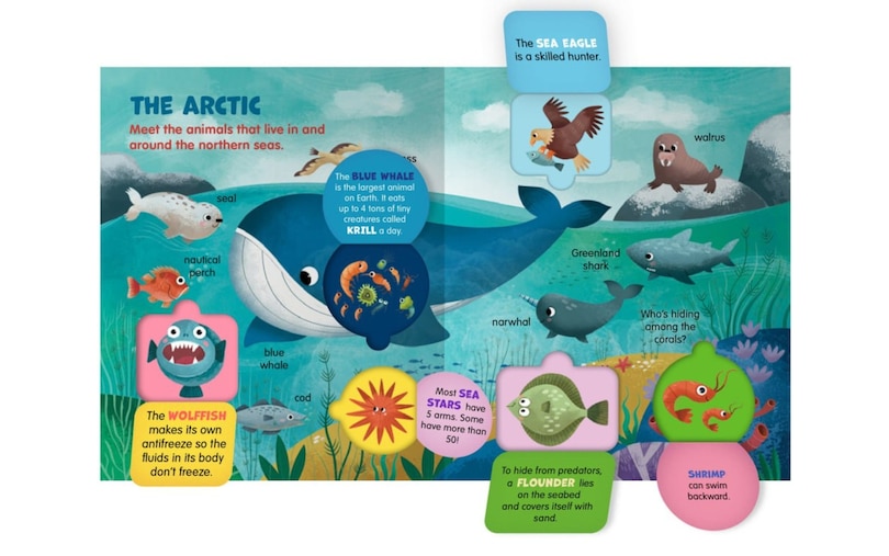 Aper&ccedil;u du contenu_Lift and Learn: Oceans