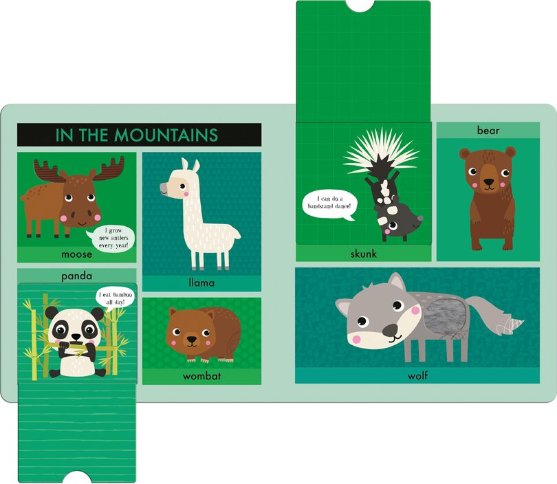 Aper&ccedil;u du contenu 2_Lift Touch and Learn First Words: Animals