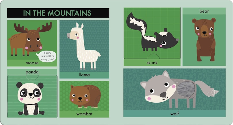 Aper&ccedil;u du contenu 3_Lift Touch and Learn First Words: Animals