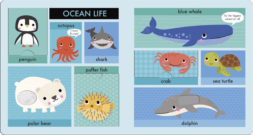 Aper&ccedil;u du contenu 5_Lift Touch and Learn First Words: Animals