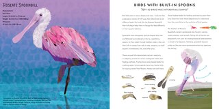 Sample content_Light as a Feather