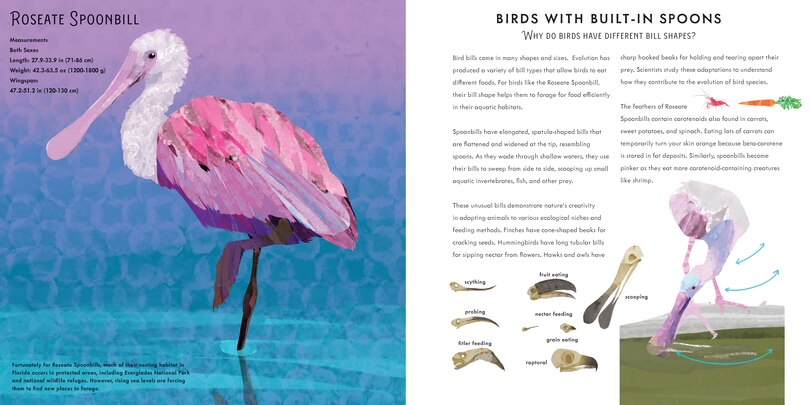 Sample content_Light as a Feather