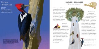 Sample content 2_Light as a Feather