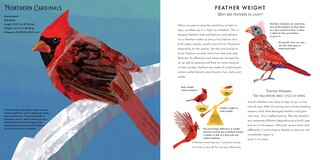 Sample content 3_Light as a Feather